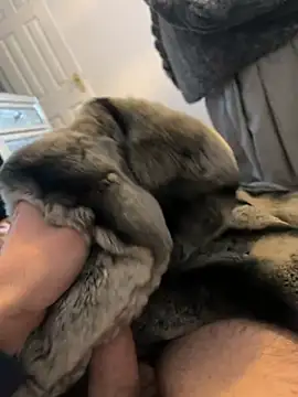 Snapshot of Furdale chatting on January 3, 2025, 1:58 pm Furdale online show from January 3, 2025, 1:58 pm