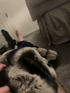 Snapshot of Furdale chatting on January 6, 2025, 4:55 pm Furdale online show from January 6, 2025, 4:55 pm