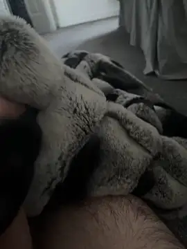 Snapshot of Furdale chatting on January 7, 2025, 10:43 am Furdale online show from January 7, 2025, 10:43 am