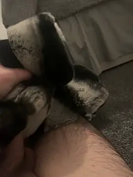 Snapshot of Furdale chatting on January 7, 2025, 5:20 pm Furdale online show from January 7, 2025, 5:20 pm