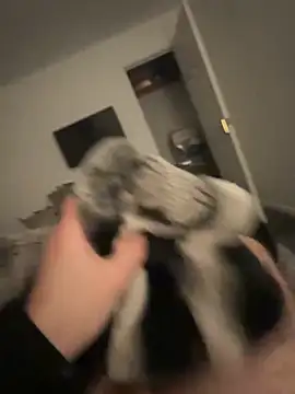 Snapshot of Furdale chatting on January 17, 2025, 5:19 pm Furdale online show from January 17, 2025, 5:19 pm