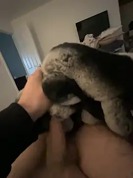 Snapshot of Furdale chatting on January 24, 2025, 2:41 pm Furdale online show from January 24, 2025, 2:41 pm