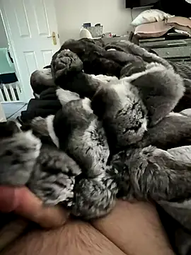 Snapshot of Furdale chatting on November 15, 2025, 1:29 pm Furdale online show from November 15, 2025, 1:29 pm