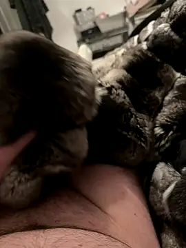 Snapshot of Furdale chatting on December 4, 2025, 7:00 pm Furdale online show from December 4, 2025, 7:00 pm