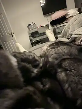 Snapshot of Furdale chatting on December 17, 2025, 4:13 pm Furdale online show from December 17, 2025, 4:13 pm