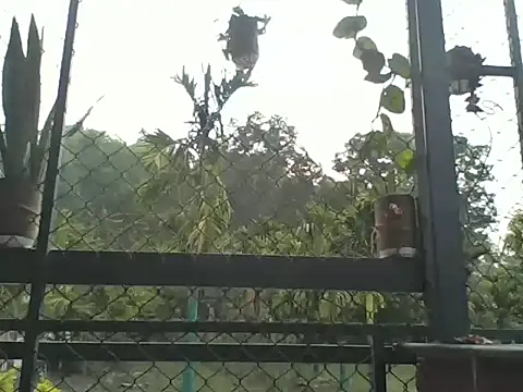 Indiaguy4u online show from March 23, 2026, 2:15 am