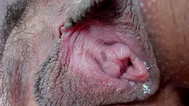 Snapshot of ms_pickless chatting on January 27, 2025, 3:18 pm ms pickless online show from January 27, 2025, 3:18 pm