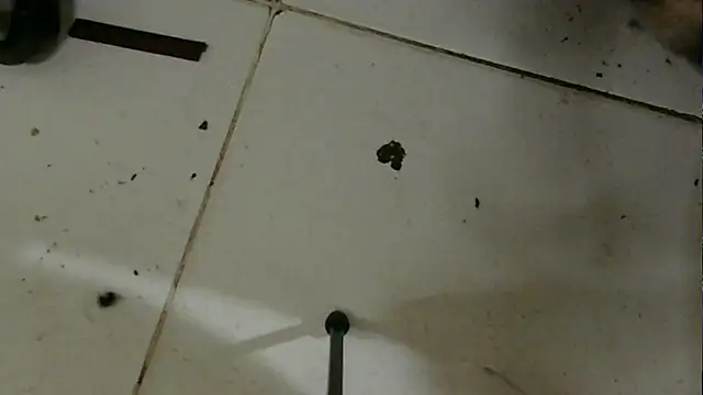 chino roz online show from February 19, 2025, 3:38 pm