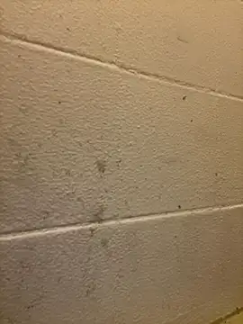 Snapshot of Greedy187nMs211 chatting on December 2, 2025, 7:47 am Greedy187nMs211 online show from December 2, 2025, 7:47 am