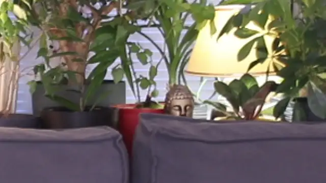 Snapshot of Lily_minx chatting on November 13, 2025, 3:38 am Lily minx online show from November 13, 2025, 3:38 am