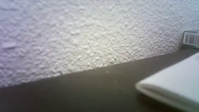 Snapshot of pau65vb chatting on November 19, 2025, 8:03 am pau65vb online show from November 19, 2025, 8:03 am