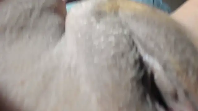 FrumCake online show from December 27, 2024, 1:11 am