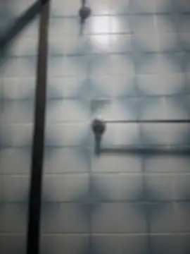 Tayra Siny online show from February 19, 2025, 1:50 pm