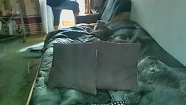 sex2 online show from March 8, 2026, 2:04 am