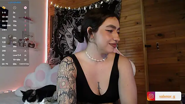 Snapshot of valenor_ chatting on February 27, 2025, 3:04 am valenor online show from February 27, 2025, 3:04 am