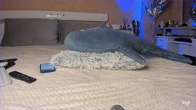 Diamond D  online show from October 16, 2025, 5:03 pm