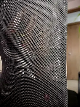 DulceLenns online show from December 13, 2025, 7:53 pm