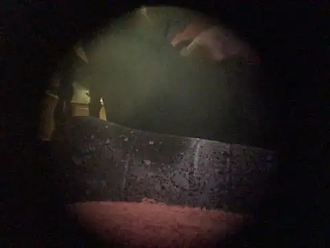 translove online show from December 9, 2024, 7:50 pm