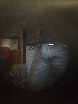 translove online show from December 16, 2024, 1:43 pm