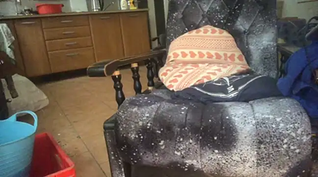 translove online show from January 5, 2025, 9:48 am