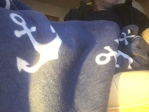 translove online show from February 14, 2025, 8:05 pm