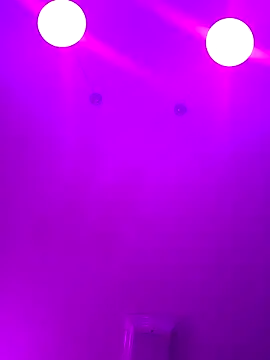 ScarletCallings420 online show from February 24, 2025, 4:15 pm