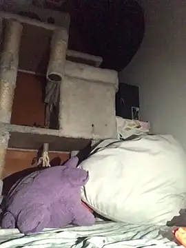 BIG-CkD F online show from January 13, 2025, 12:02 pm