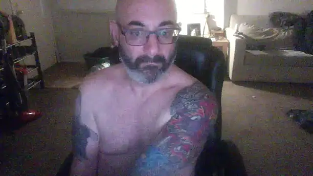 Snapshot of palidin1 chatting on February 3, 2026, 2:53 am palidin1 online show from February 3, 2026, 2:53 am