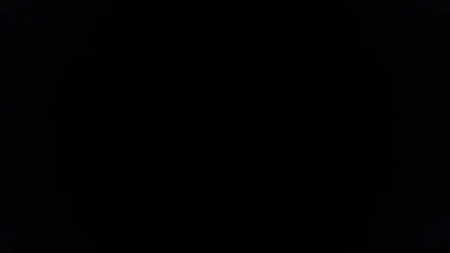 palidin1 online show from June 27, 2026, 7:41 pm