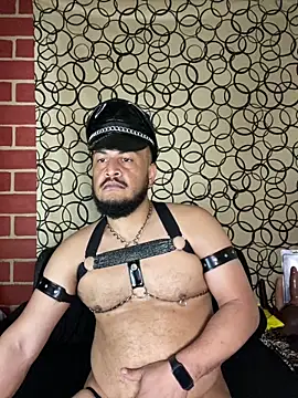 the master foal  online show from March 10, 2026, 8:14 pm