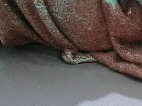 FUN4TIPS online show from March 1, 2025, 7:26 pm