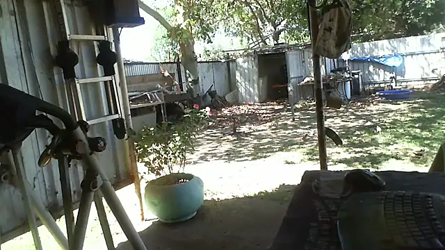 Snapshot of herbie010666 chatting on November 6, 2025, 4:24 am herbie010666 online show from November 6, 2025, 4:24 am