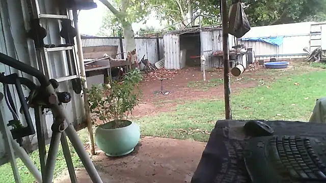 Snapshot of herbie010666 chatting on November 27, 2025, 4:25 am herbie010666 online show from November 27, 2025, 4:25 am