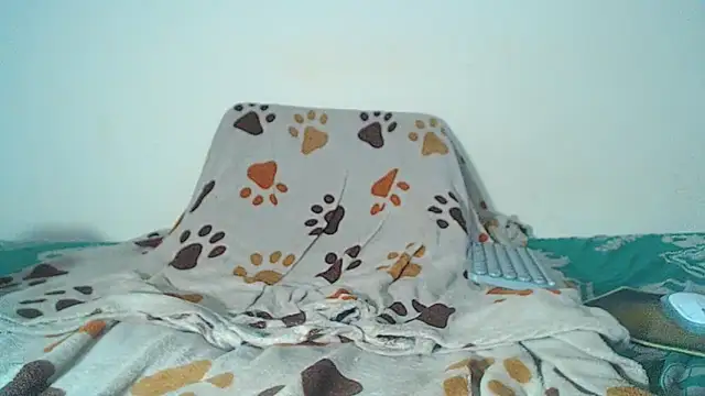 maihton xx online show from February 3, 2026, 6:40 am