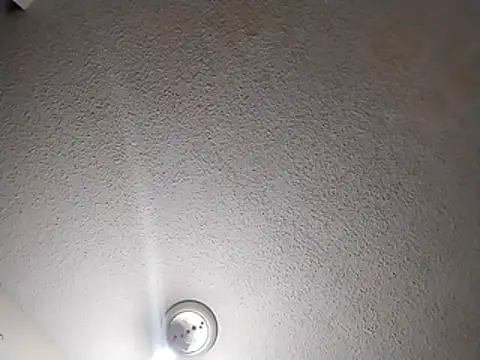 Snapshot of 247Srokin chatting on March 24, 2026, 6:02 pm 247Srokin online show from March 24, 2026, 6:02 pm