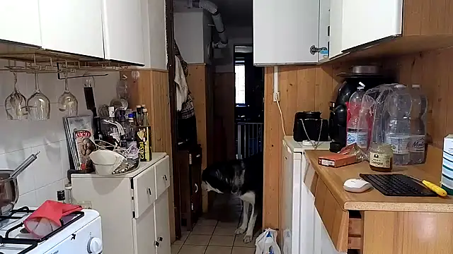 Snapshot of VanessaDoyle chatting on February 26, 2026, 8:57 am VanessaDoyle online show from February 26, 2026, 8:57 am