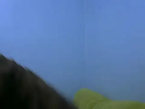 Snapshot of Forsia chatting on February 6, 2025, 5:57 am Forsia online show from February 6, 2025, 5:57 am