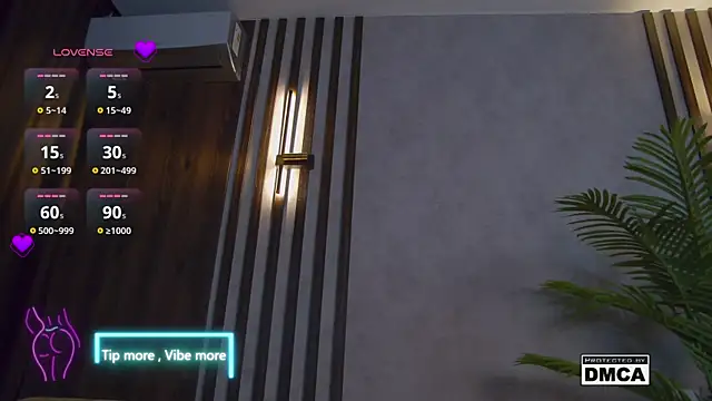 Snapshot of Holl1Would chatting on February 2, 2025, 10:17 pm Holl1Would online show from February 2, 2025, 10:17 pm