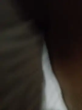 Snapshot of Taniyakuma chatting on December 24, 2024, 3:16 pm Taniyakuma online show from December 24, 2024, 3:16 pm