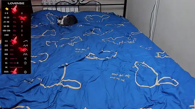 eva zero online show from October 15, 2025, 2:39 pm