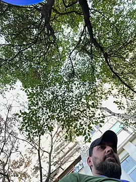 Snapshot of TigerOne19 chatting on October 29, 2025, 10:17 am TigerOne19 online show from October 29, 2025, 10:17 am