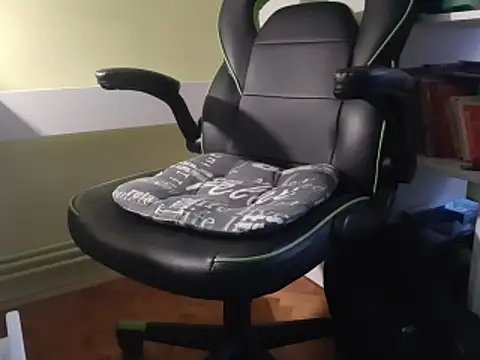 feathersify online show from February 2, 2026, 6:34 am