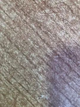 gokhanbey34 online show from October 26, 2025, 8:53 am