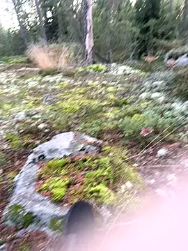 Andreashow online show from September 22, 2025, 4:09 pm