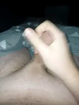 Snapshot of bertvanboere chatting on January 5, 2025, 11:22 pm bertvanboere online show from January 5, 2025, 11:22 pm