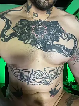 Snapshot of CamiloGray_ chatting on February 13, 2025, 1:37 pm CamiloGray online show from February 13, 2025, 1:37 pm