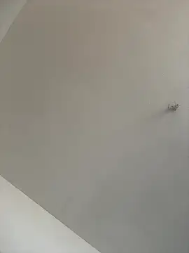 Snapshot of waakenda chatting on January 9, 2026, 7:04 pm waakenda online show from January 9, 2026, 7:04 pm