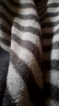 Snapshot of Lachezar12 chatting on February 16, 2025, 2:10 pm Lachezar12 online show from February 16, 2025, 2:10 pm