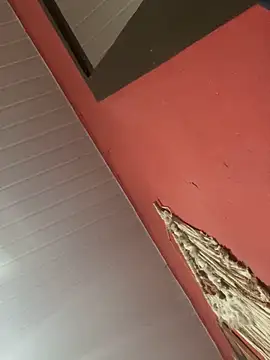 pimenta gaby online show from November 4, 2025, 11:09 am