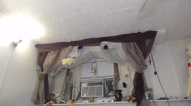 Snapshot of MaxiMillz chatting on January 2, 2025, 6:29 am MaxiMillz online show from January 2, 2025, 6:29 am